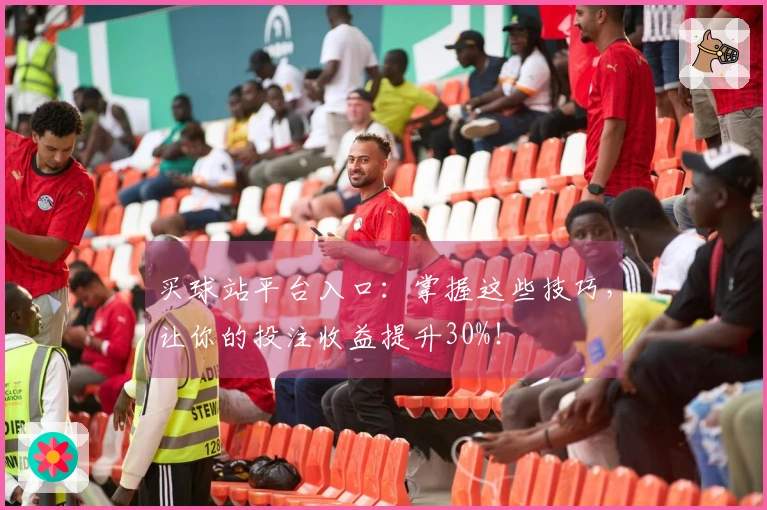 买球站平台入口：掌握这些技巧，让你的投注收益提升30%！