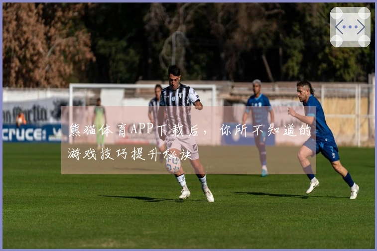 熊猫体育APP下载后，你所不知道的游戏技巧提升秘诀