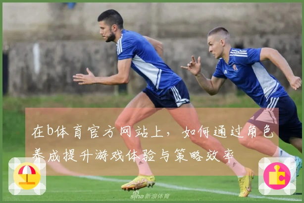 在b体育官方网站上，如何通过角色养成提升游戏体验与策略效率